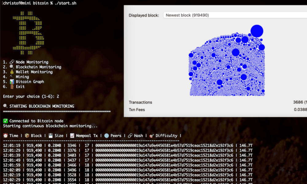 Bitcoin Blockchain Monitoring