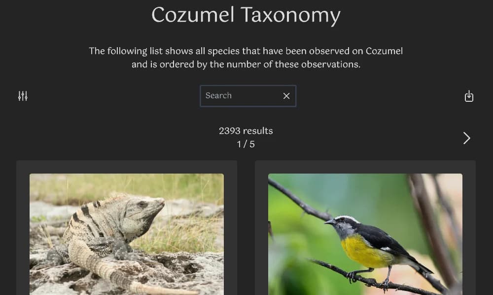 Cozumel Taxonomy